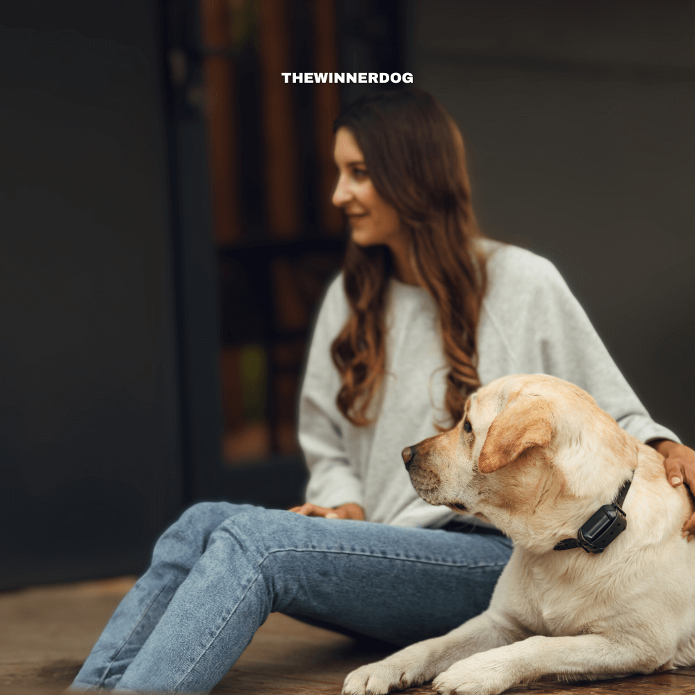 What Is an E‑Fence? A Beginner’s Guide