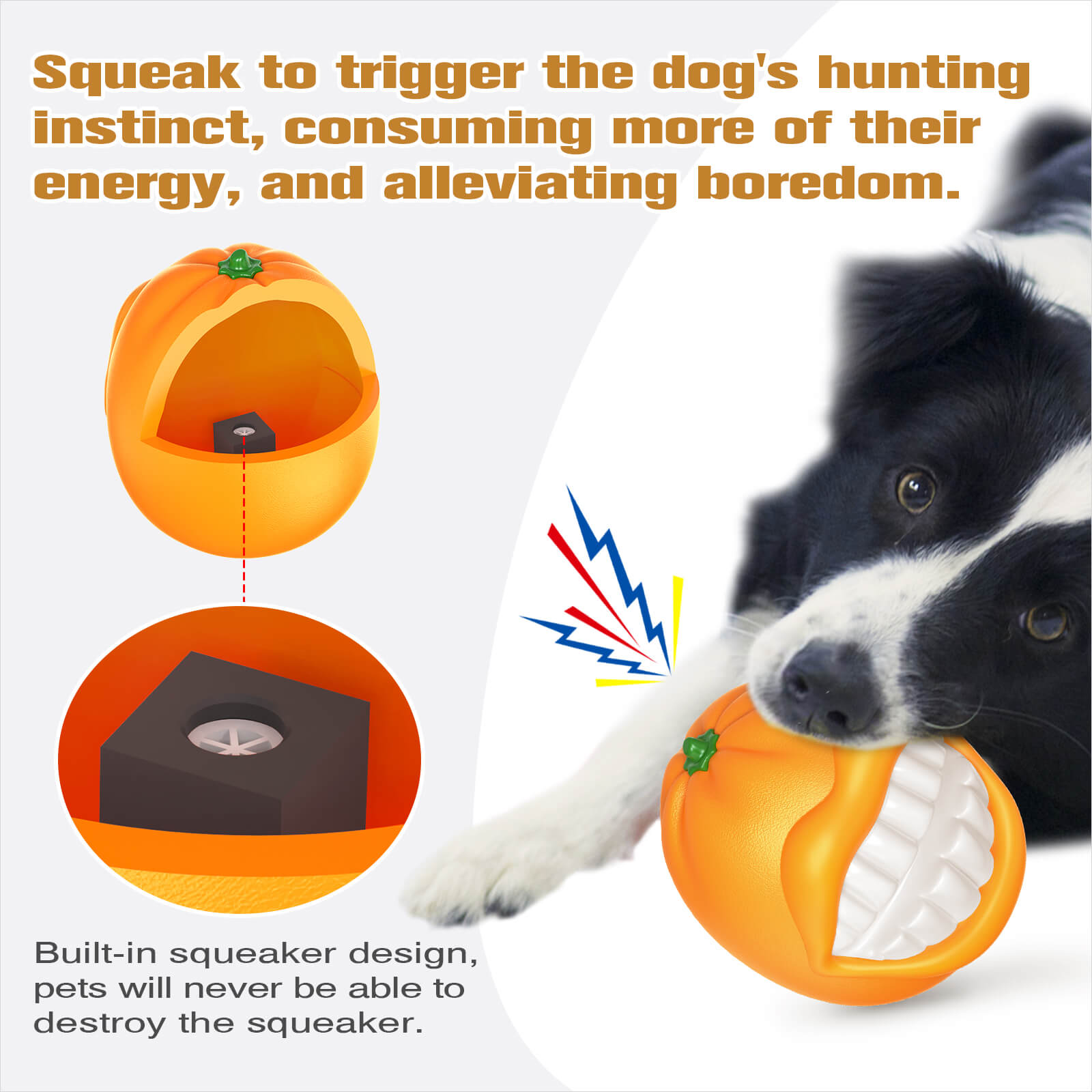 Woof & Play Squeaky Dog Toy
