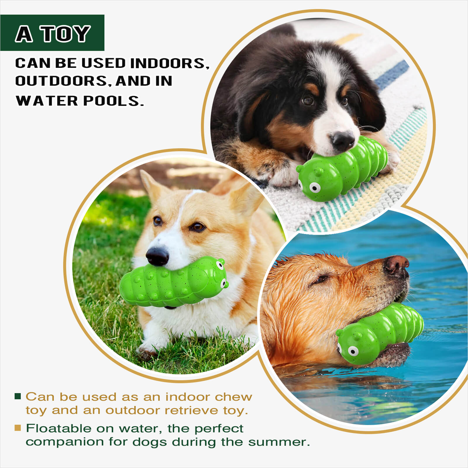 Woof & Play Squeaky Dog Toy