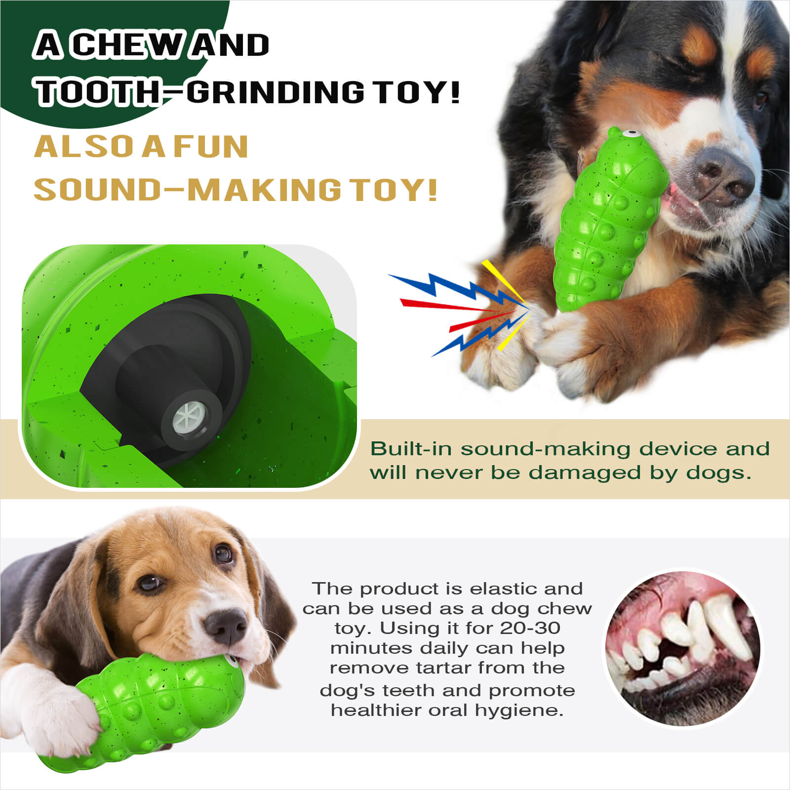 Woof & Play Squeaky Dog Toy
