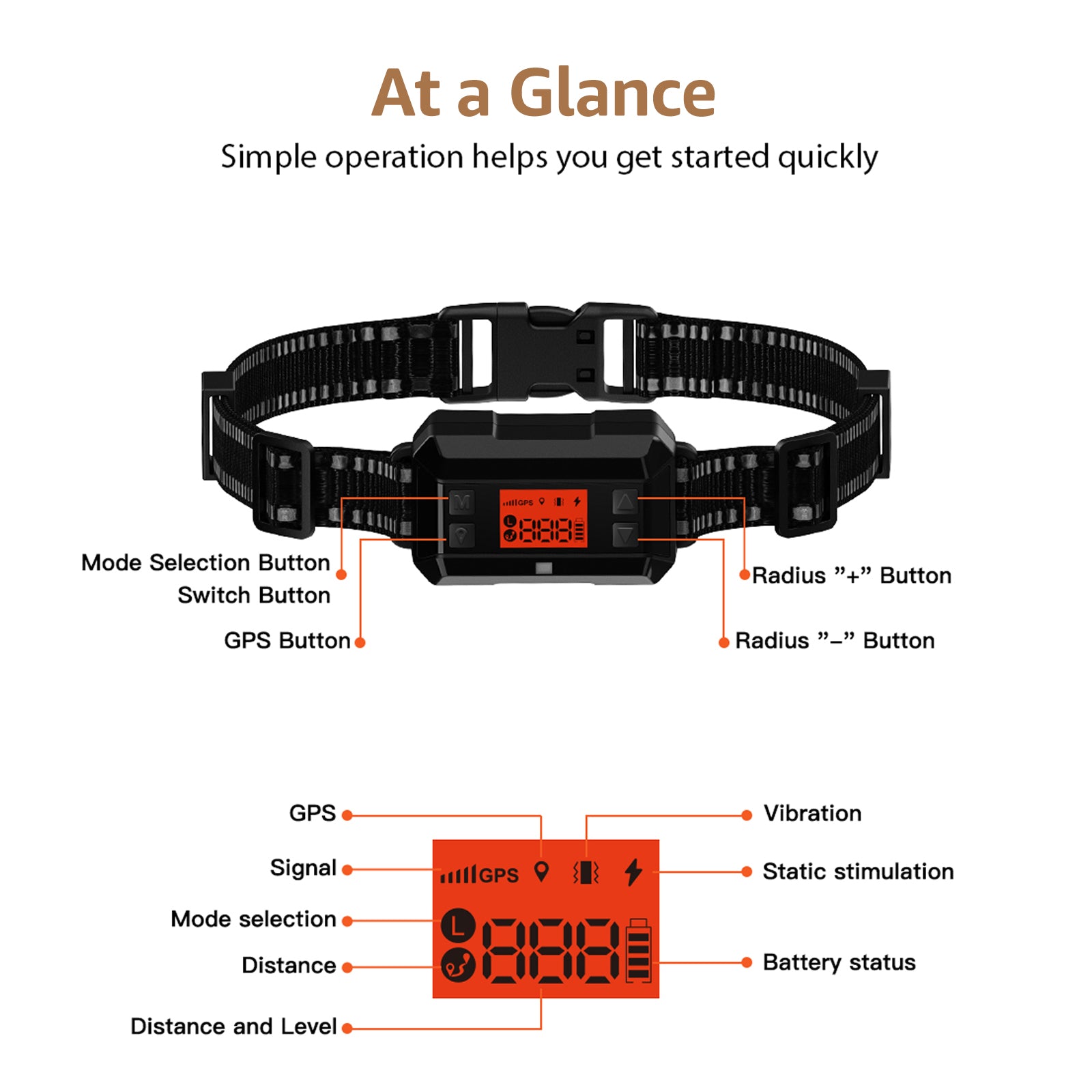 WDF810 2 In 1 GPS Wireless Dog Fence System