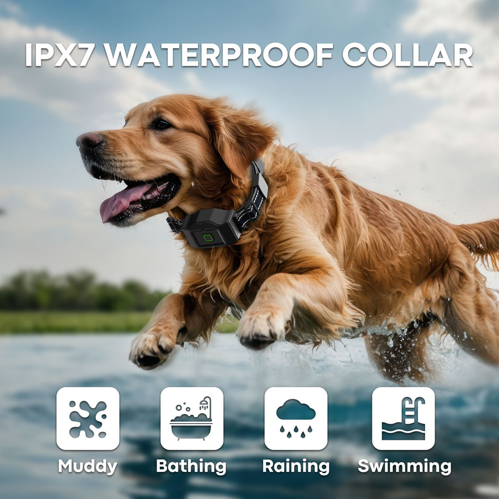 Dog running in water wearing an IPX7 waterproof collar with icons indicating its uses.