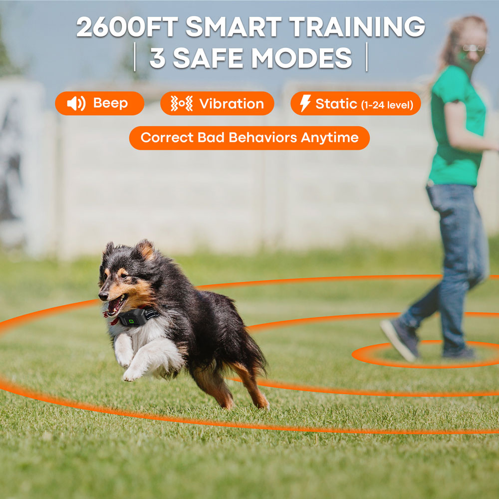 Dog running on grass with a person in the background, featuring text about smart training modes.