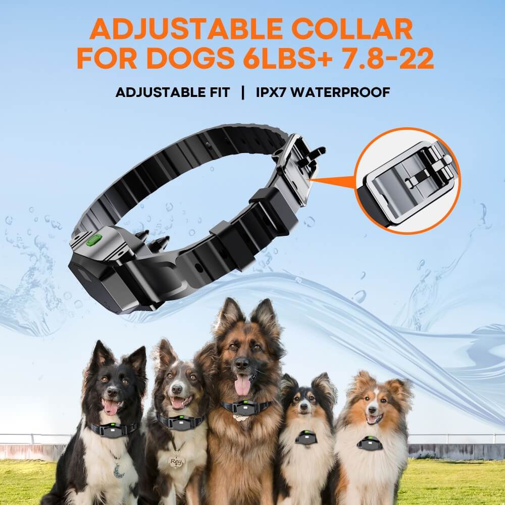 WDT810 Pro 2.4GHz Wireless Fence Receiver Collar