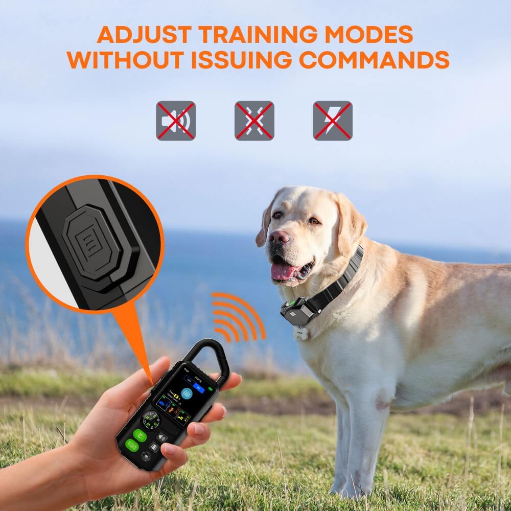 WDT810 Pro 2.4GHz Wireless Fence Extra Transmitter