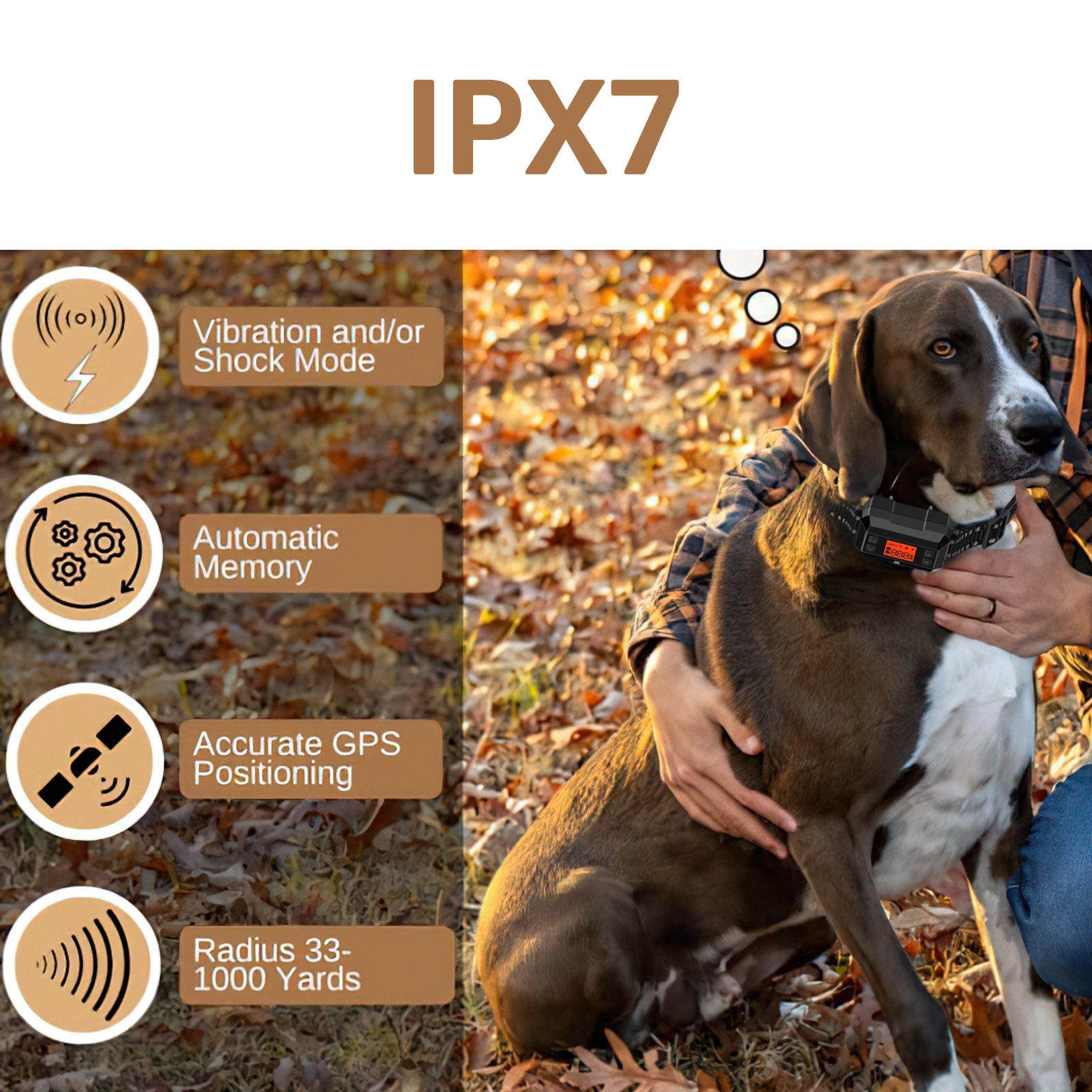 WDF810 2 In 1 GPS Wireless Dog Fence System