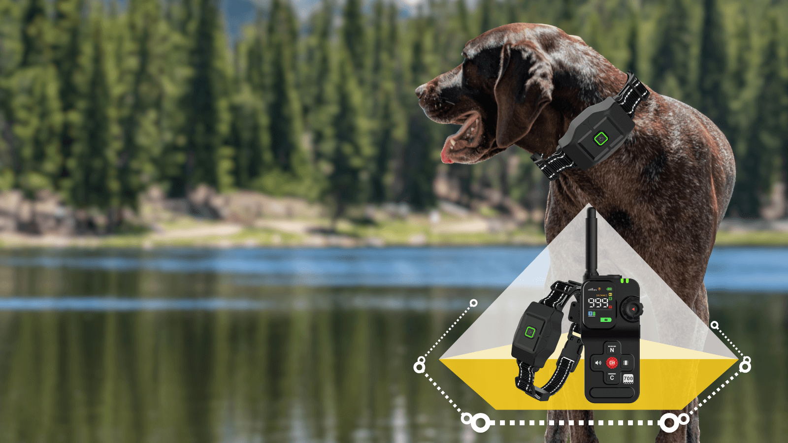 WDF700 PLUS GPS WIRELESS FENCE