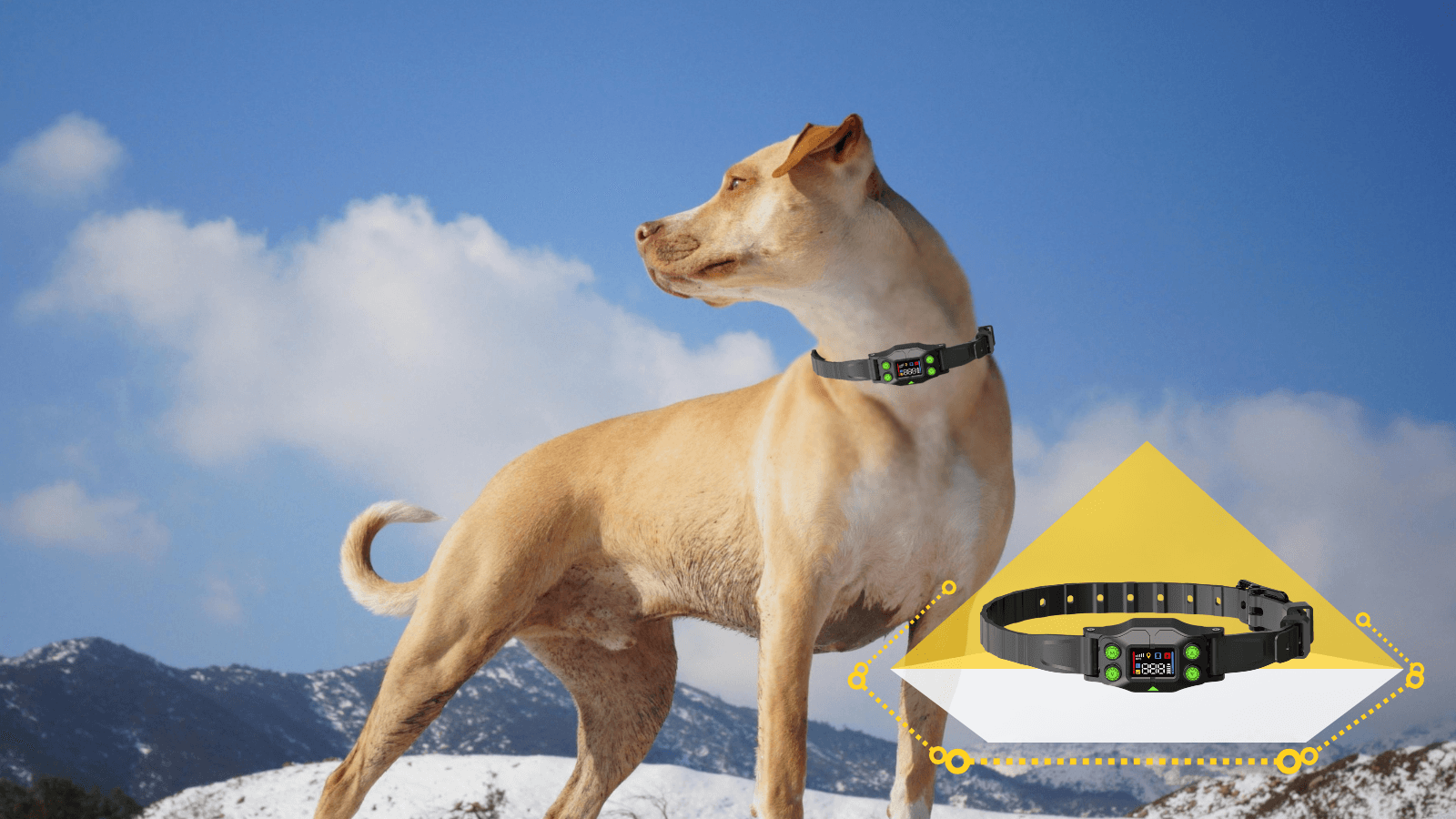 WDF830 PLUS GPS
<br>WIRELESS FENCE