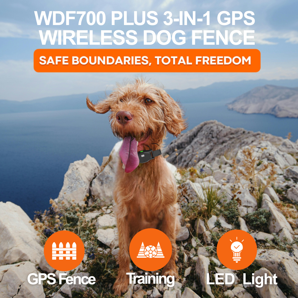 Dog on a mountain top with WDF700 Plus 3-in-1 GPS Wireless Dog Fence advertisement.
