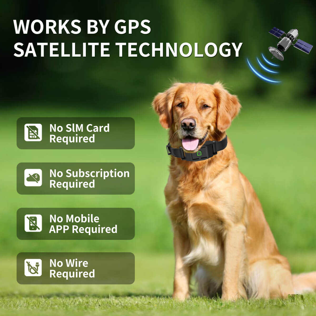 GPS dog fence collar no app needed