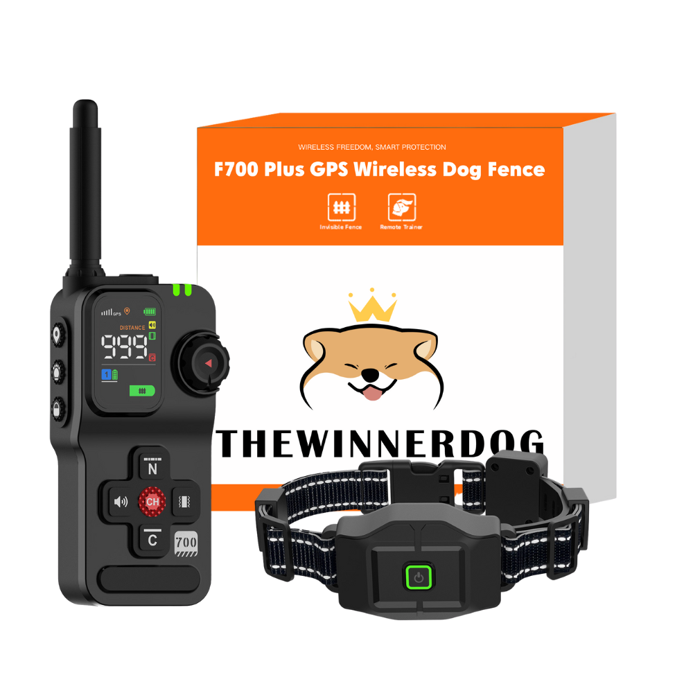 WDF700 Plus GPS Wireless Dog Fence with remote control and collar