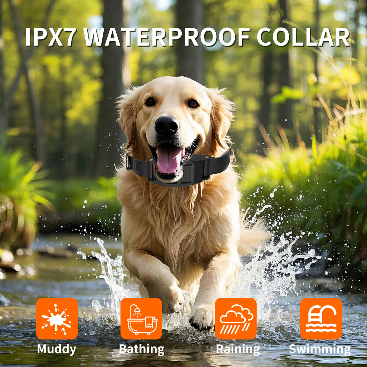 Dog running through water wearing an IPX7 waterproof  GPS dog fence collar 