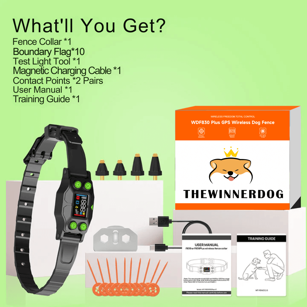 wireless dog fence set 