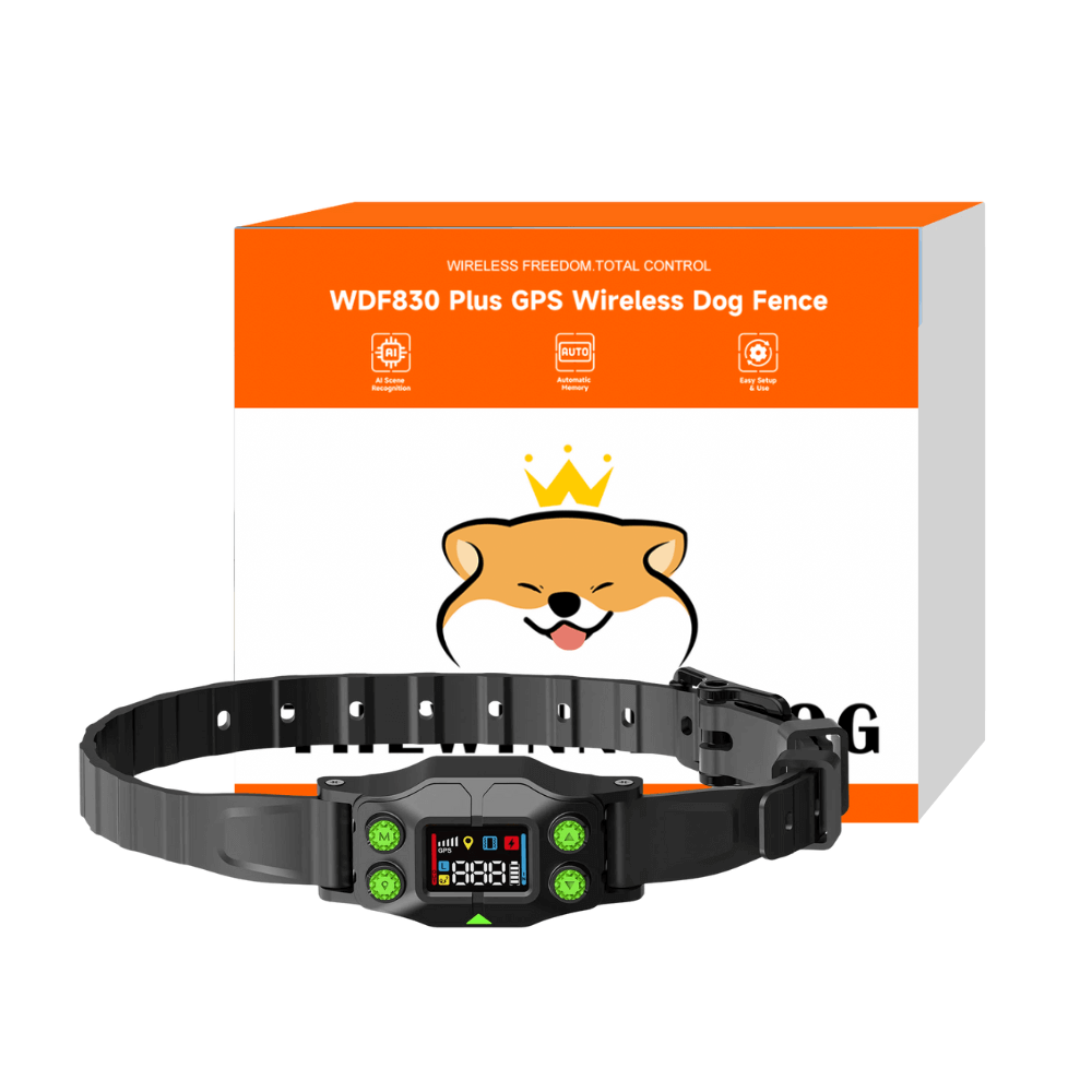 WDF830 Plus GPS Wireless Dog Fence 