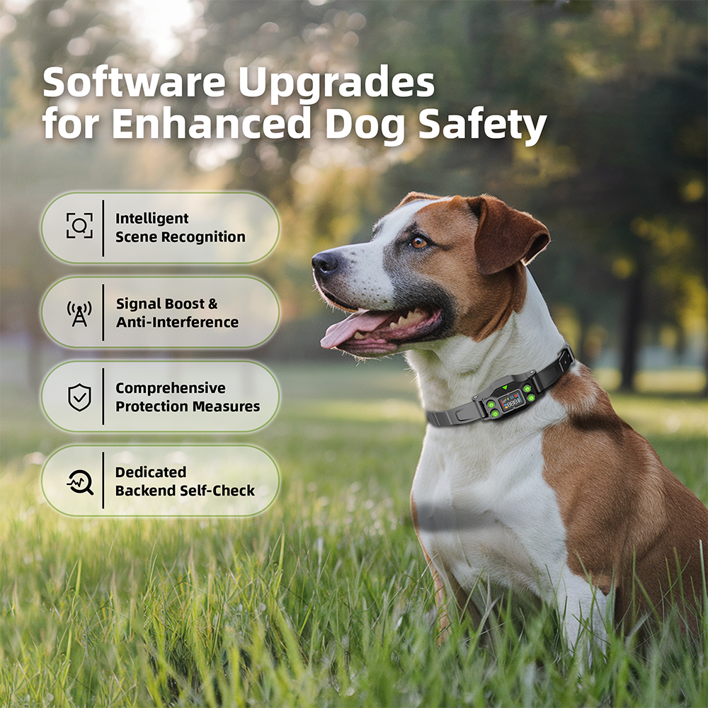 Dog sitting on grass with Electronic Dog Fence for enhanced dog safety.