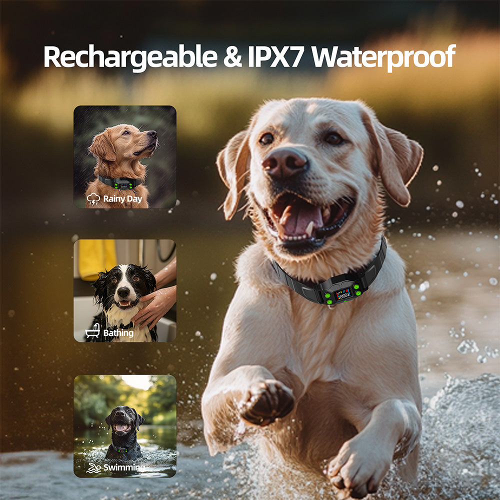 waterproof GPS dog fence collar
