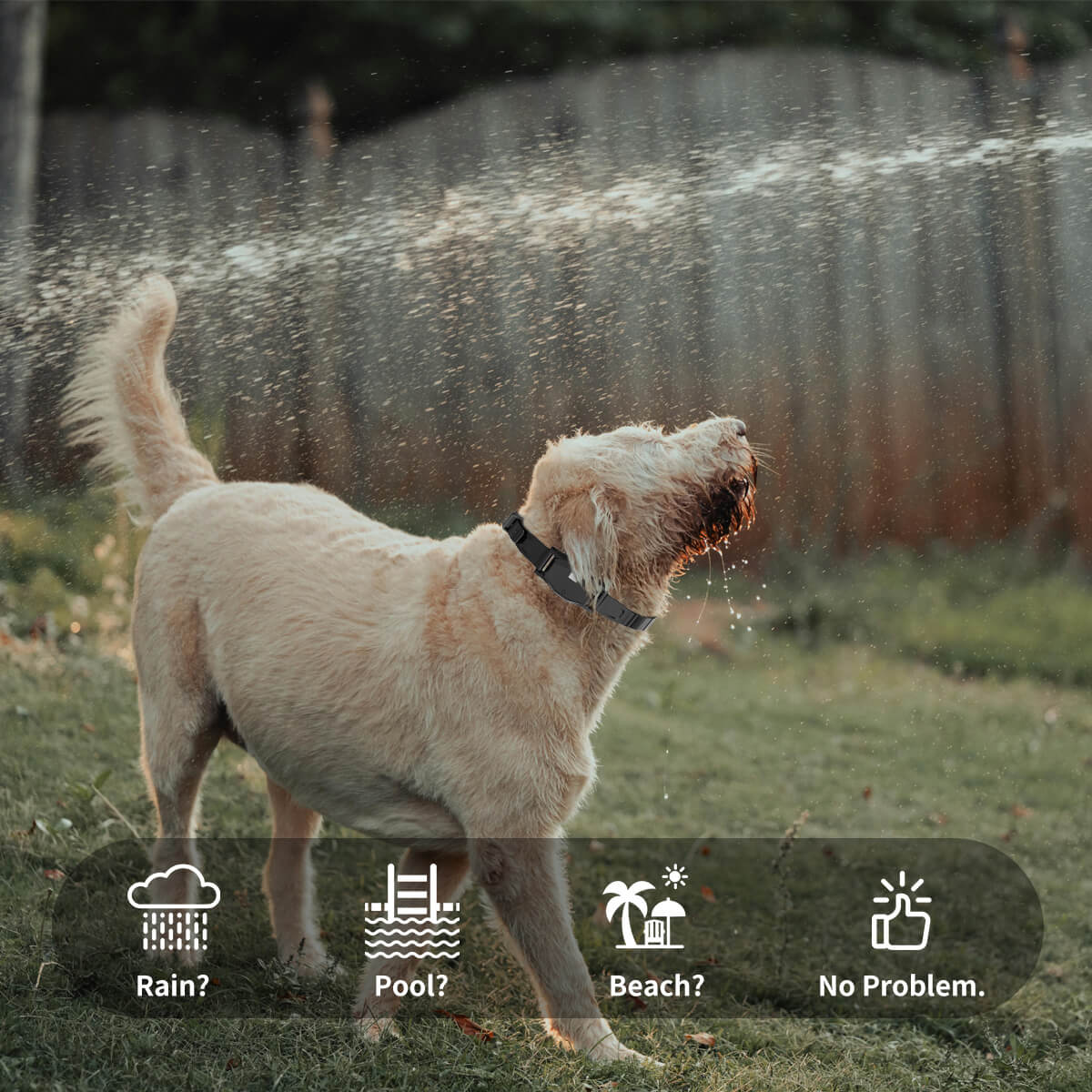 Waterproof rechargeable dog collar