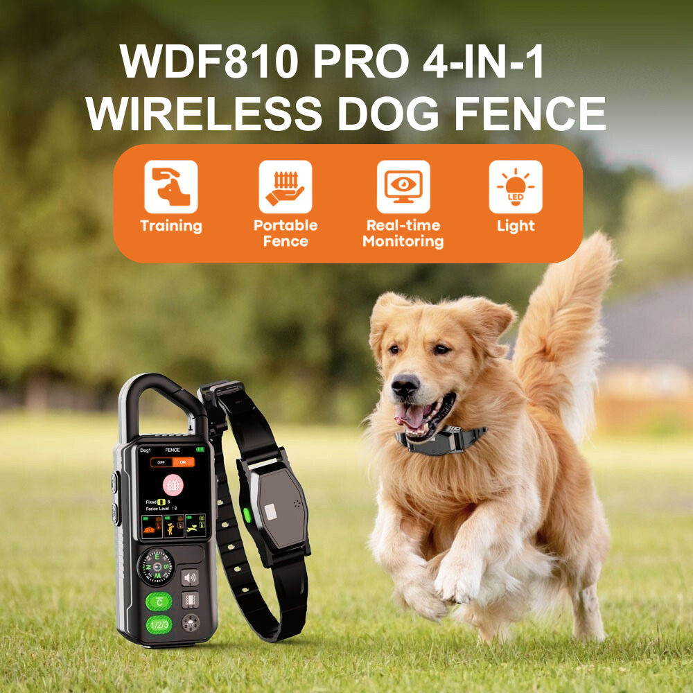 WDF810 PRO 4-IN-1 Wireless Dog Fence system with a dog running outdoors.
